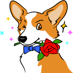 英国紳士ウェルシュ・コーギー