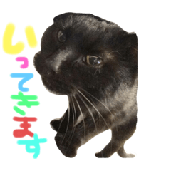 僕たち私たち、にゃーたらこちむに