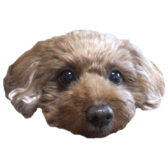 momoka_20200204201333