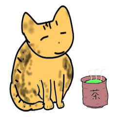 ネコの”いっちゃん”