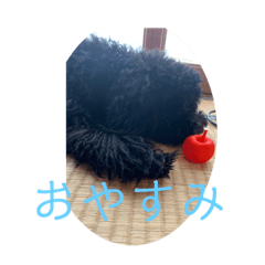 大福スタンプ第2弾！