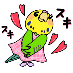 にぎやかインコ達の愛♡