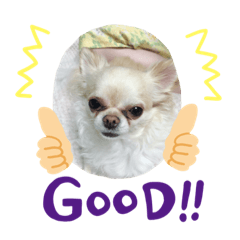 必勝‼️ケアマネ受験