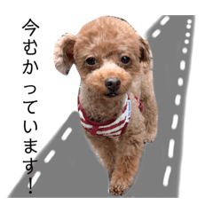 まろむぎスタンプ