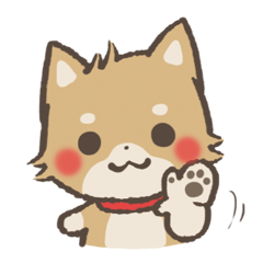 ゆるゆる柴犬 Vol.3