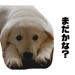 ゆかいななかまたち_2