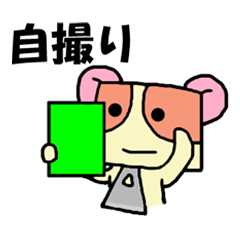 ファスなん　ぶらぶら自撮り編