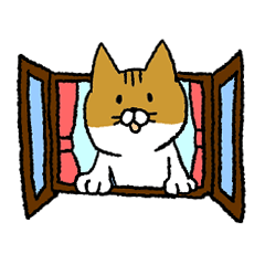 もっちり猫たまちゃん