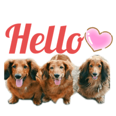 ぱちまま一家 2