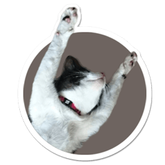 ペットのシール風スタンプ