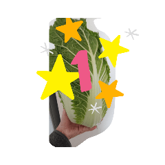 ほのぼの タイム