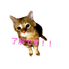 miyako_20210104030204