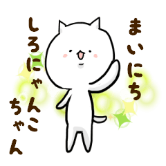 毎日白にゃんこちゃん