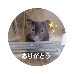 ハムスターのかわいい敬語スタンプ2