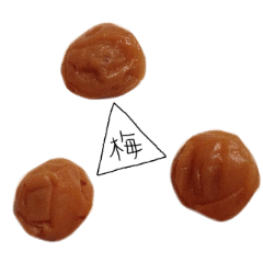 うめぼしの世界