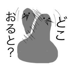 なぞハトin熊本