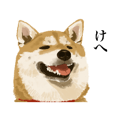 健やかであれ、柴犬