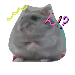 まんまる劇場♪