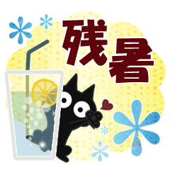 黒ねこの残暑便り