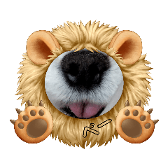 キャバリアのパキラ