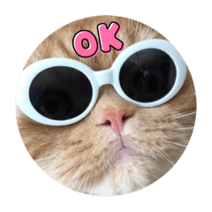 スコ猫おーじろーVol.1