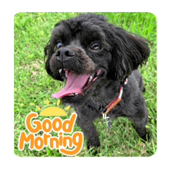 愛しの椿スタンプ