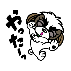 グミちゃんはシーズー犬なのだ日常Ver.5