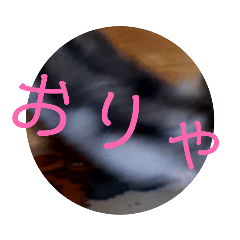 すみいとまめとらむね２