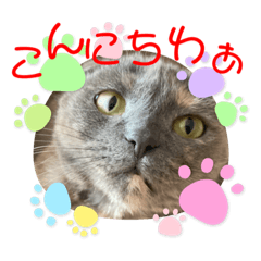 ロゼ＆シェリー　関西風とオマケ