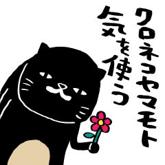 クロネコヤマモト 気を使う