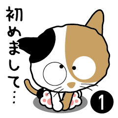 お茶目な三毛猫「わび助」01