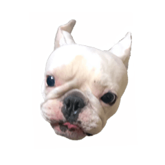 フレンチブル中野