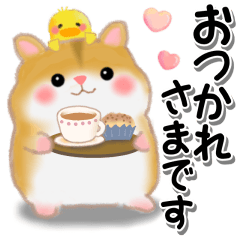 ハムスター「ハムたん」5