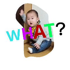 たいちゃんの生活