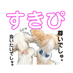 さくら子でしゅ。