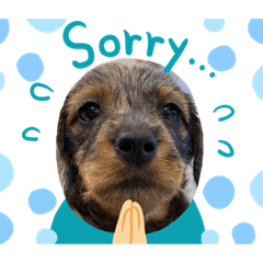 めいちゃんU・x・U