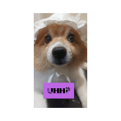 世界上最可愛的美裕