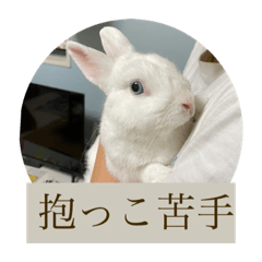 しらたまの日常:)