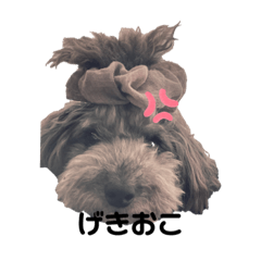 レベットスタンプ