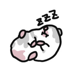 ハムスターのひまわりくん