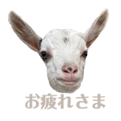 りん&らんスタンプ