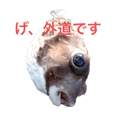 魚を釣ろう