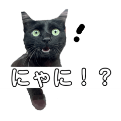 ルアの大冒険ver.2