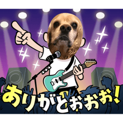 アメリカンコッカータケゾウ　ダックスもも