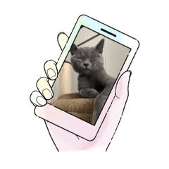 Sophie_20230604203625