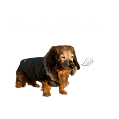 おとぼけゆりちゃん3