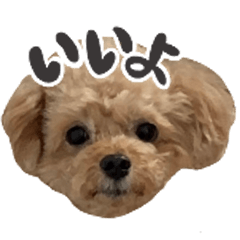 犬のぽんぷ。修正版