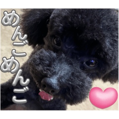 ごえもんワンコ　ラフに使える♡だわん