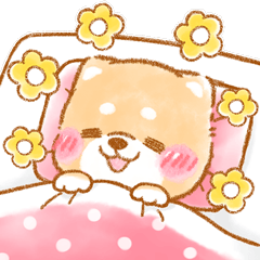 ▶飛び出す❤️お布団らぶ❤️いやしばいぬ