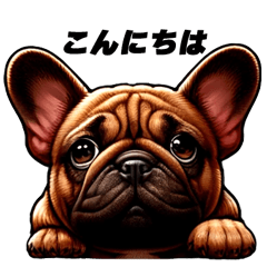 フレブル　レッドフォーンのRossoくん